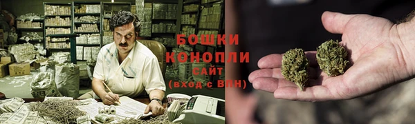 ешки Вяземский