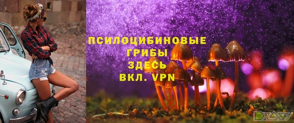 эйфоретик Вязьма