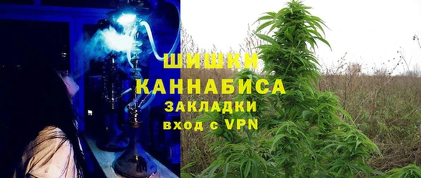 ешки Вяземский