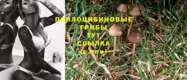 эйфоретик Вязьма