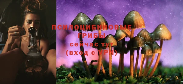 эйфоретик Вязьма