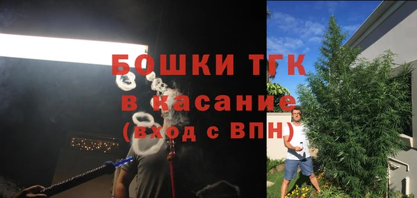 ешки Вяземский