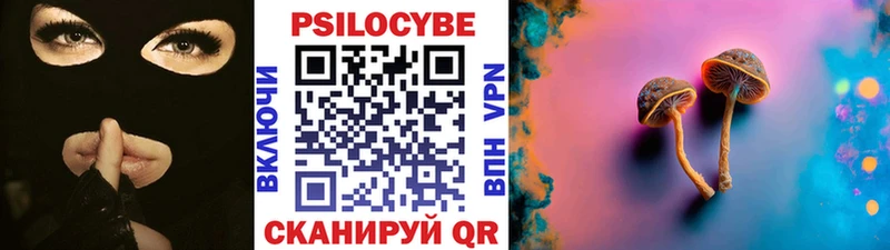 Псилоцибиновые грибы мицелий  цена наркотик  Чердынь 